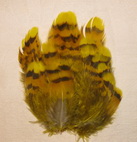 Capercailli hen feathers lemon